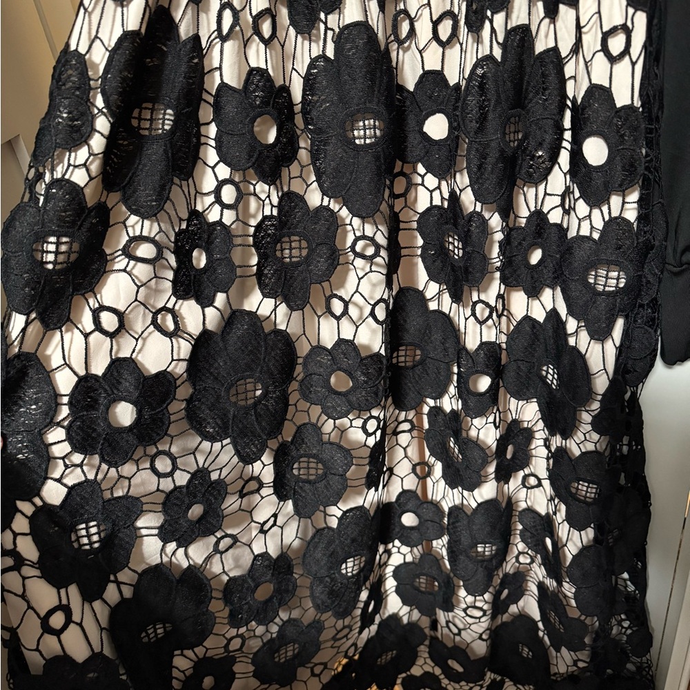 Black Floral Lace Overlay Dress